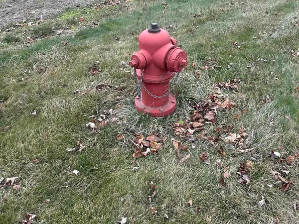 W Chestnut St Lot A, Breckenridge, MI 48615