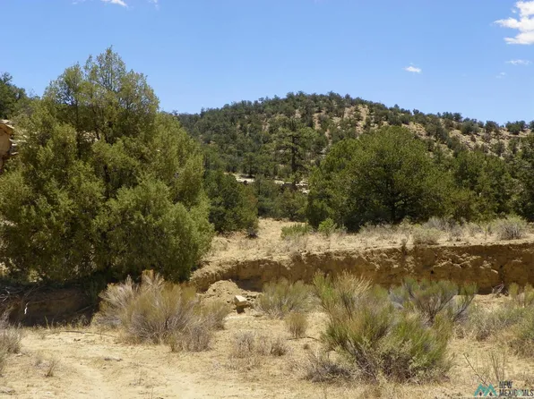 Coal Cyn, Pie Town, NM 87827