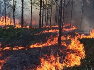 0 Schneider Rd, Mc David, FL 32568