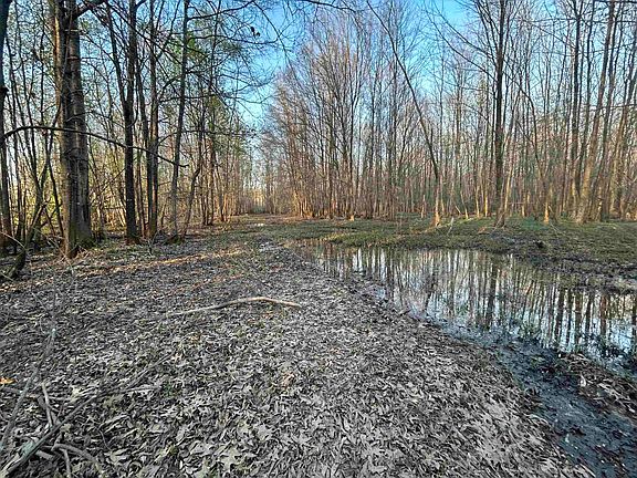 4th image of 0 Highway 64