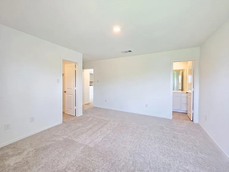26818 Zebra Grass Dr — Photo 20