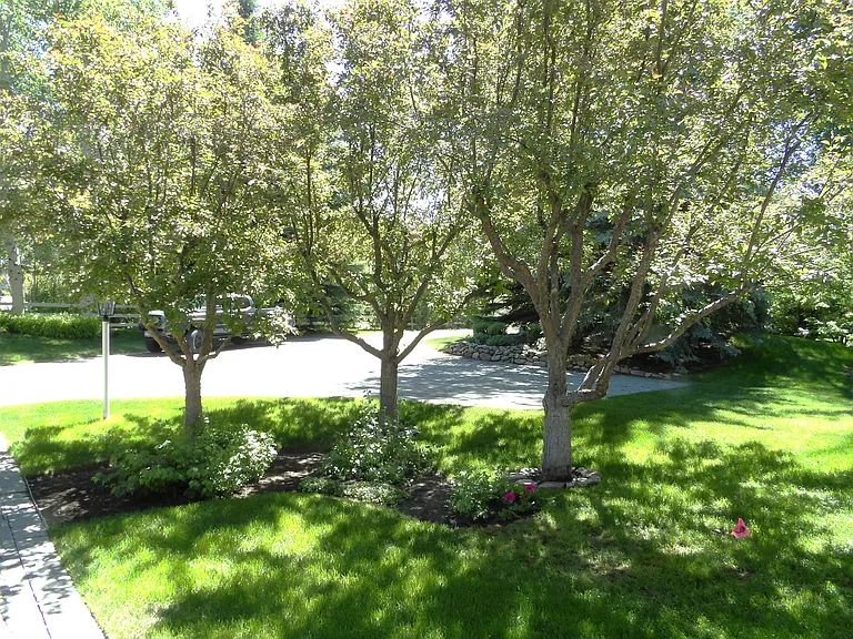 11 Willow Rd — Photo 86