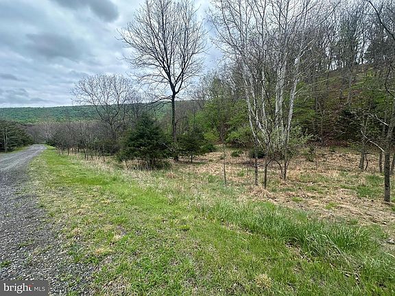 2nd image of LOT 32 Moose Hollow Rd