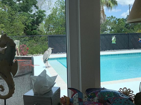 From the Florida Room