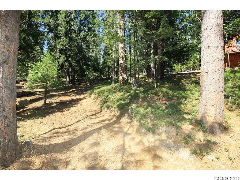 2010 Jerrilynn Dr photo 1