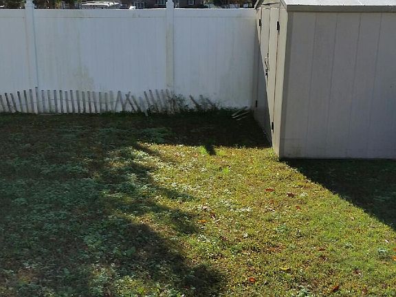 Back yard vynal shed & fence