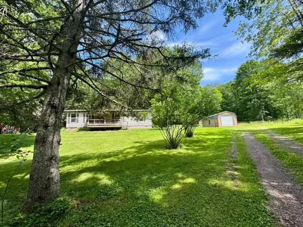 3414 Coulter Brook Rd, Bovina Center, NY 13740