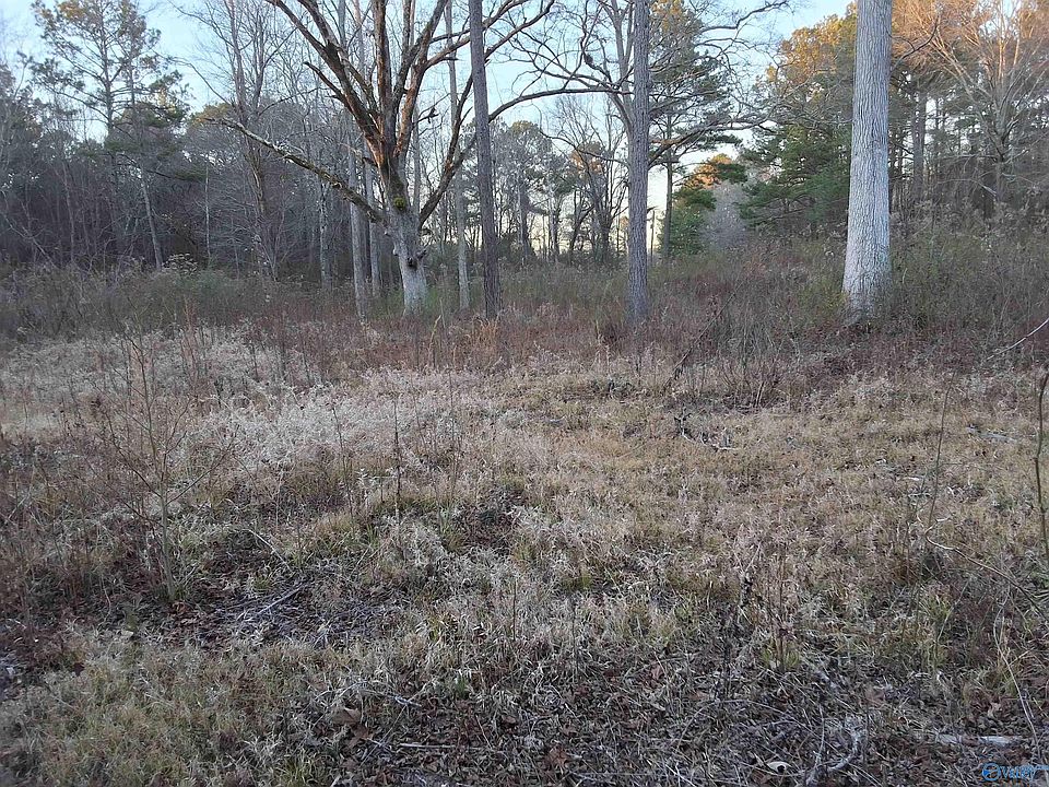 1st image of Euclid Rd