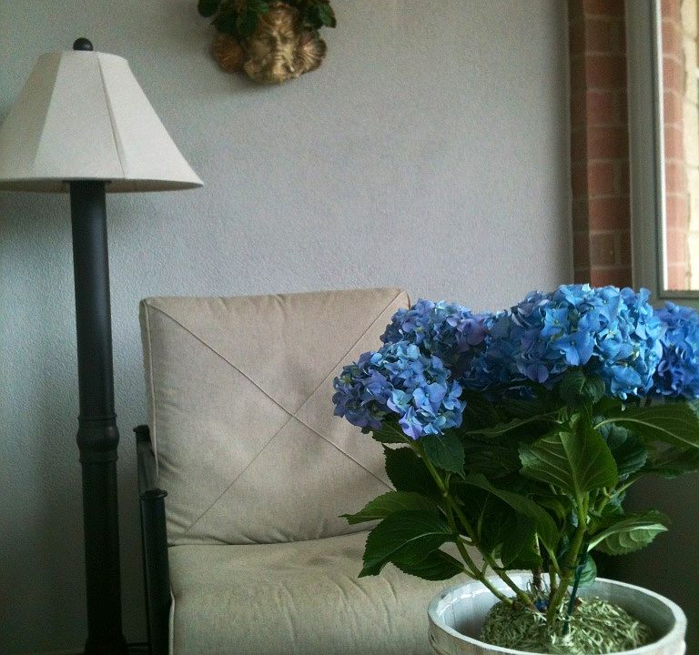 2nd image of 7101 Bay Front Dr APT 504