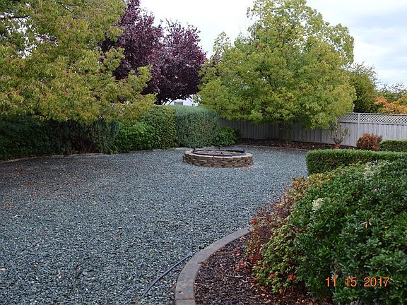 Roses and Azaleas are now blooming beautifully, Spring trimm