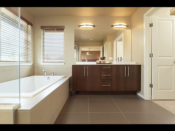 Master bath, walk in closet