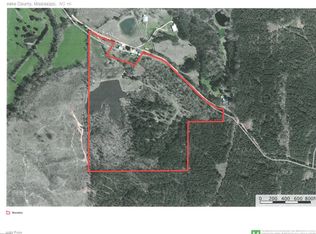 234 Salers Rd, Carthage, MS 39051