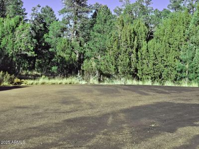1526 Foxtail Ln #1, Heber, AZ, 85928