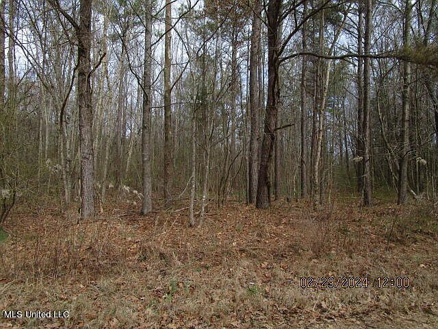 1st image of LOT 2 Highway 4 W Lot 2