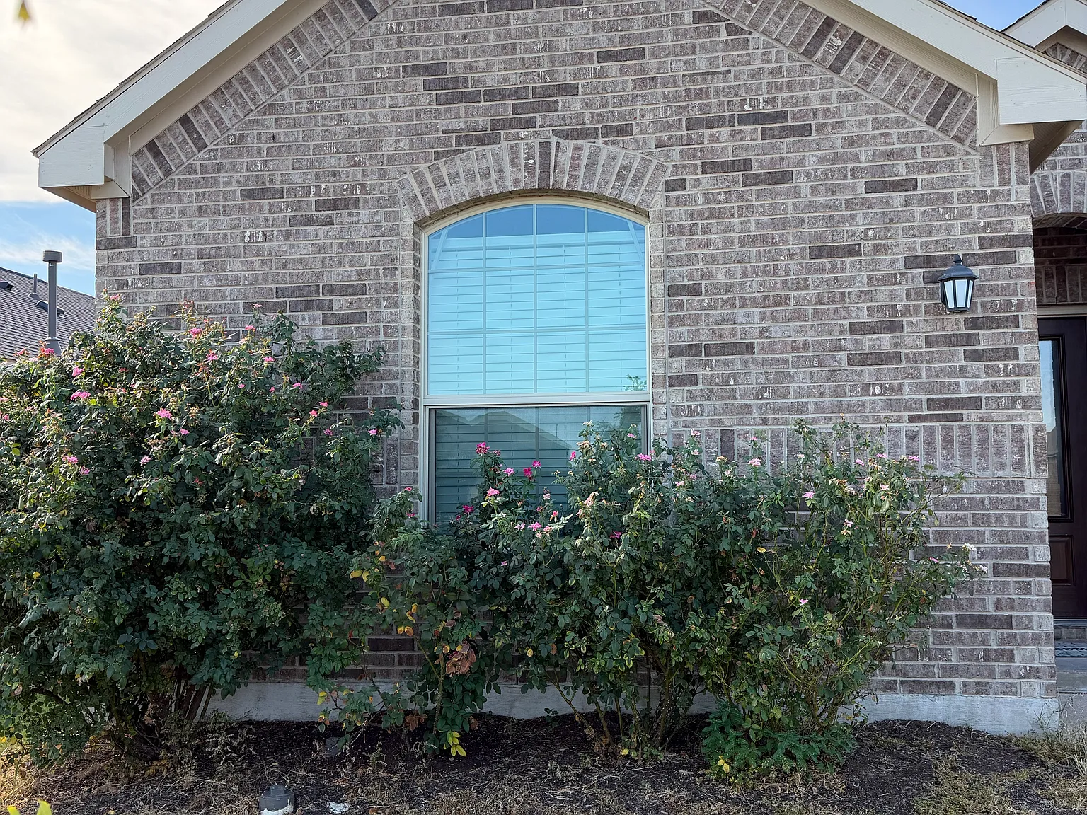 3 bed, 1606 sqft, $1,950 — Photo 4