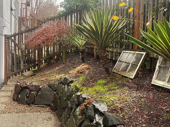 Mature plants and trees.