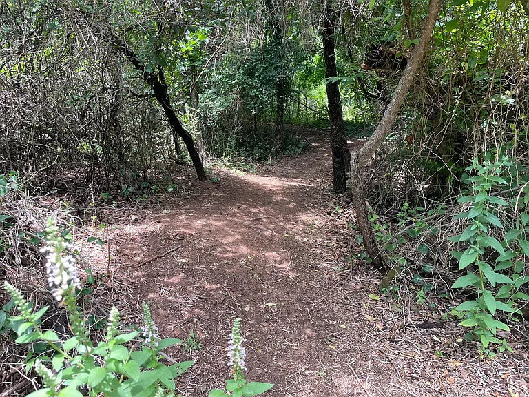 private walking trails (3)