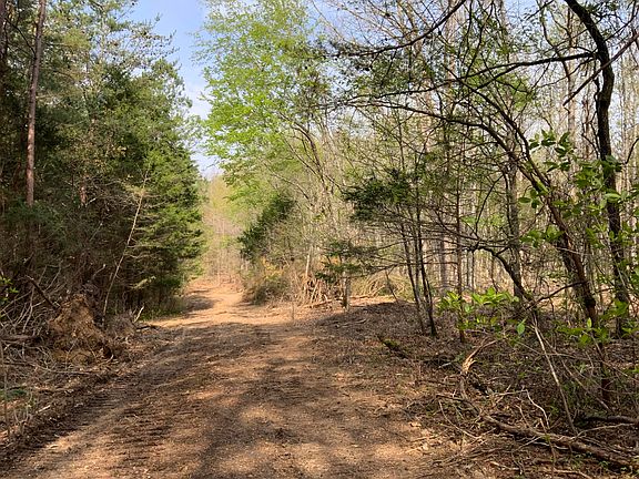 2nd image of 10613 Highway 58