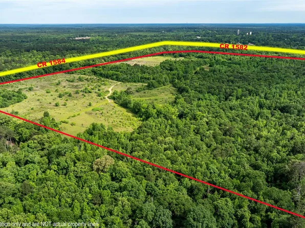 County Road 1584, Avinger, TX 75630