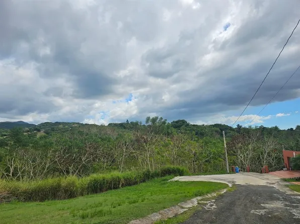 Bo Santana Solar 1 Carr 363 Kmhm #9, Sabana Grande, PR 00637