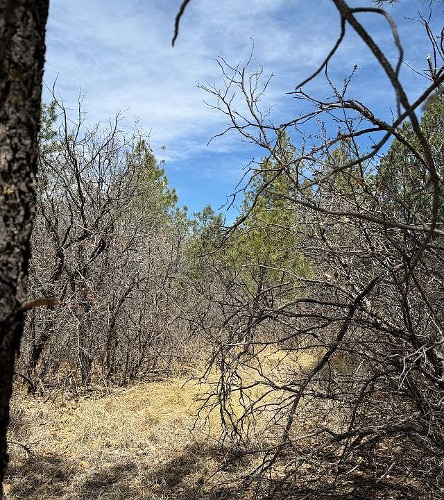 2nd image of 60 Rio Pinar Dr