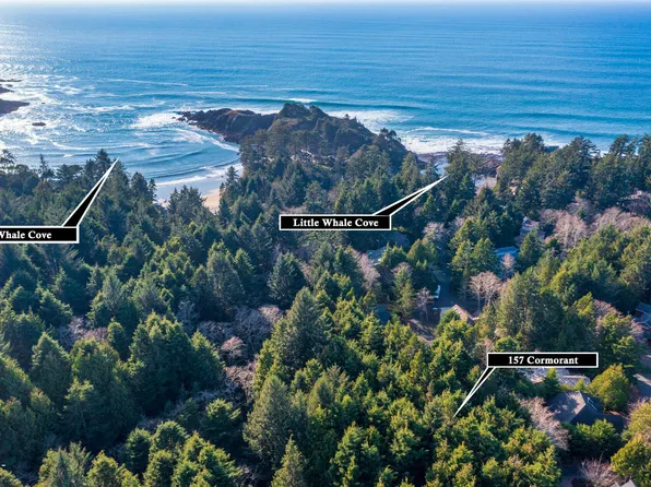 157 SW Cormorant, Depoe Bay, OR 97341