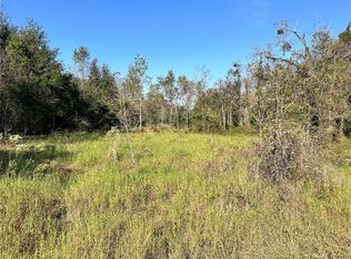 SE 33rd Ter LOT 28, Summerfield, FL 34491