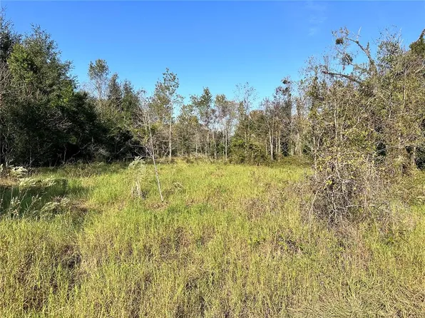 SE 33rd Ter Lot 28, Summerfield, FL 34491