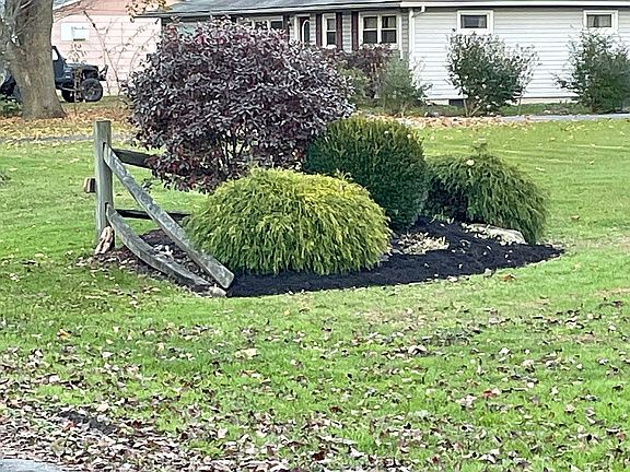 4th image of 148 Pamela Dr