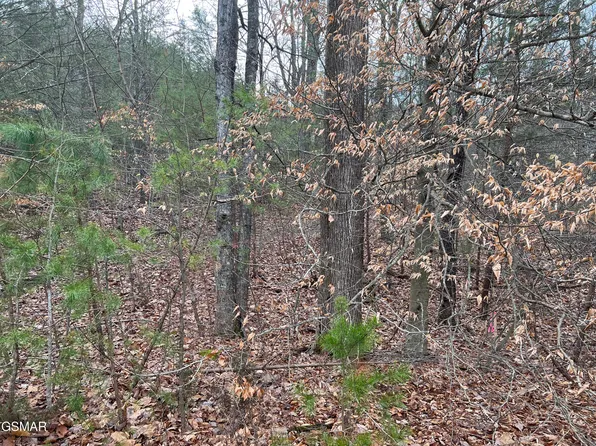 LOT 23 Blue Springs Way, Newport, TN 37821