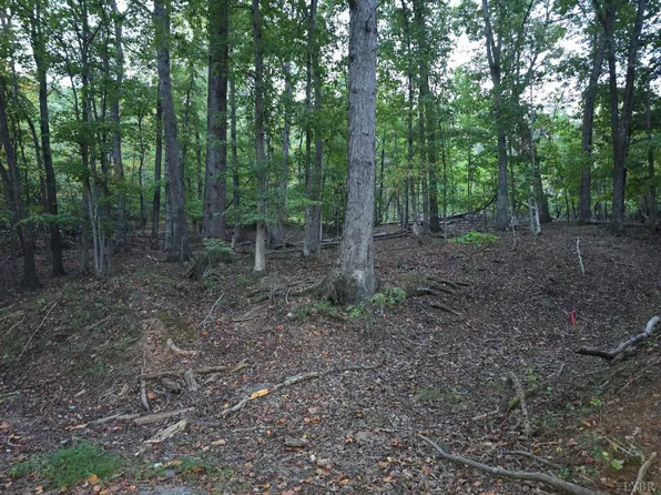 0 Pilot Mountain Rd, Moneta, VA 24121