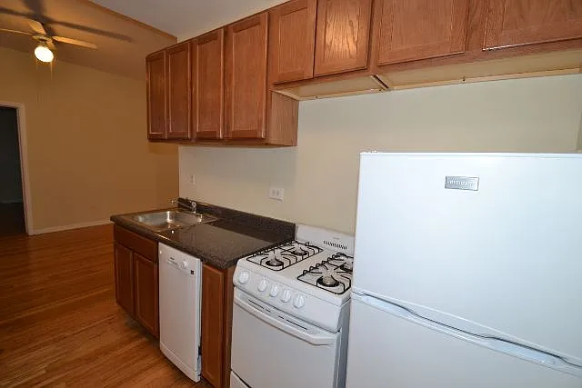 Magnificent 1 Bed, 1 Bath at Waveland + Sheffield (Wrigleyville) — Photo 3
