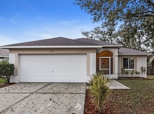 1416 Birchstone Ave, Brandon, FL 33511