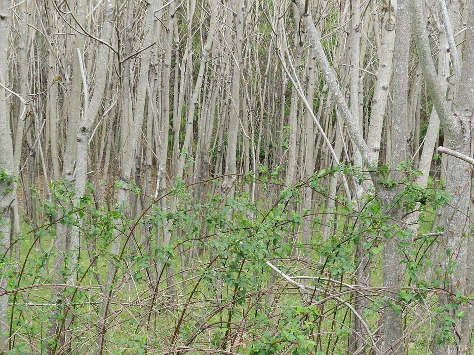 1st image of LOT 67 Cornfield Ln