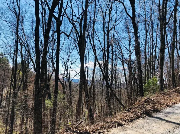 113 Laurel Rd, Clayton, GA 30525