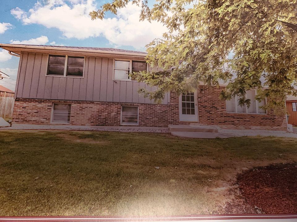 Quiet street tree brings shade