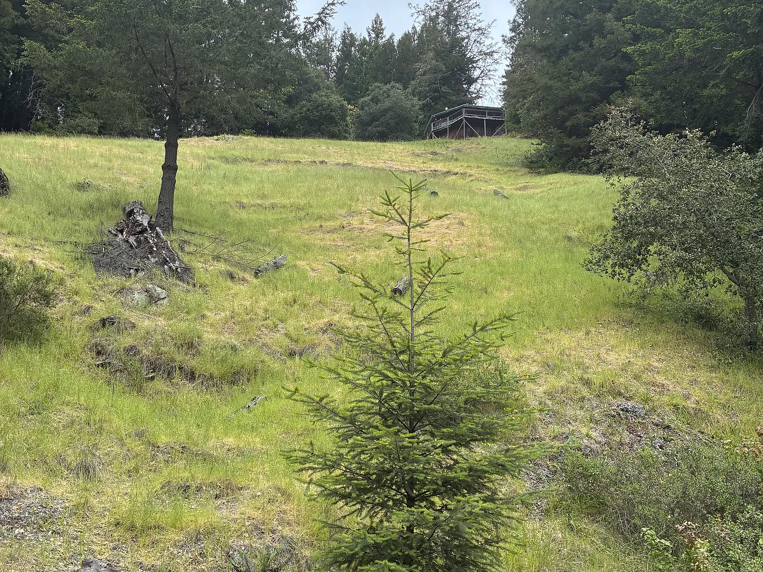 2 bed, 1450 sqft, $3,500 — Photo 4