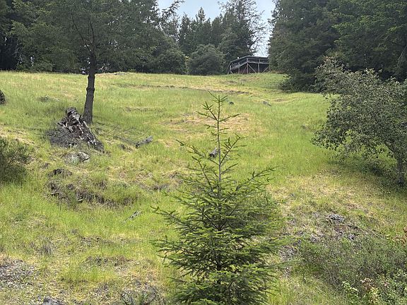 4th image of 3000 Muniz Ranch Rd #1