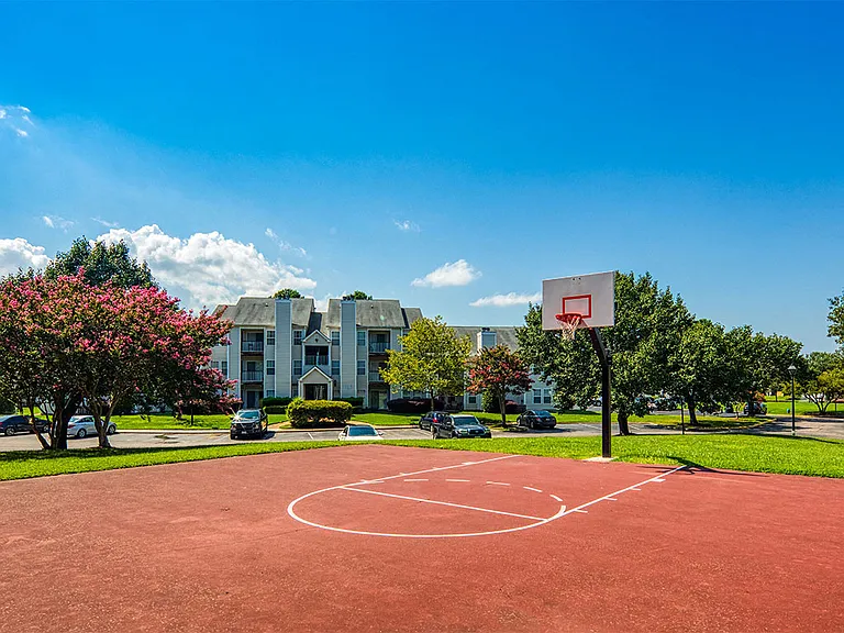 Basketball Court