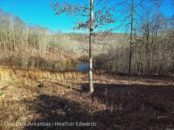 7895 254th Hwy, Dennard, AR 72629