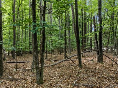 118 Oak Run Run, Clarksville, VA, 23927