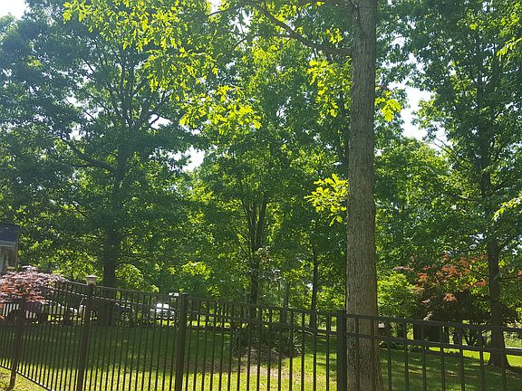 front yard view from pool