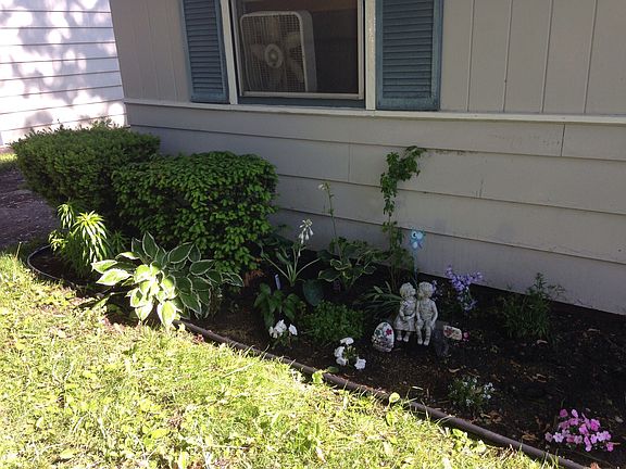 Front garden 