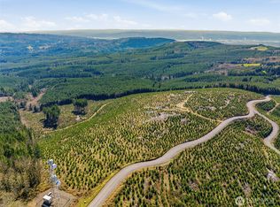 0 Lot 1 Mt Brynion Road, Kelso, WA 98632