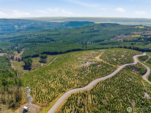 0 Lot 1 Mt Brynion Road, Kelso, WA 98632