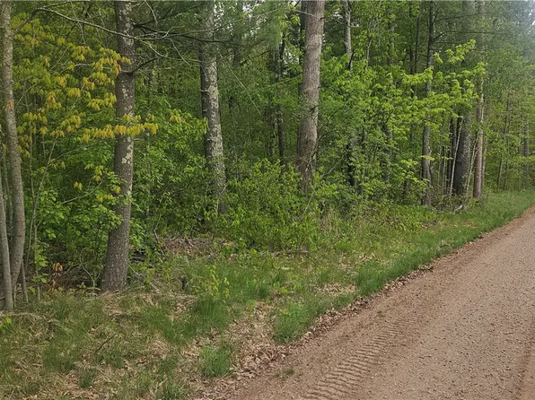 Lot 3 Buckeye Lane, Stone Lake, WI 54876