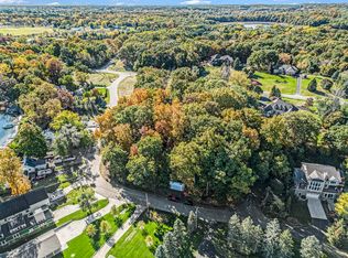 907 Ridge Ct, Chelsea, MI 48118