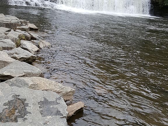 nearby Dupont Hooker Falls