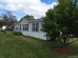 45 Southview Dr, Arcade, NY 14009