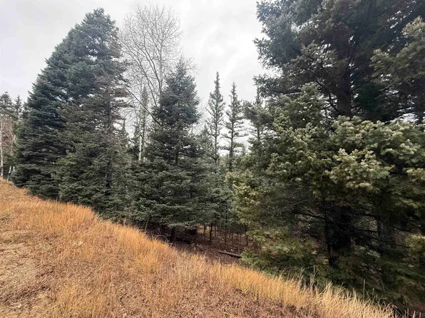 24 San Andres Cir, Angel Fire, NM 87710